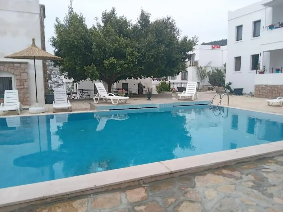 Cozy And Central Apartment With Shared Pool Near Beach In Bodrum